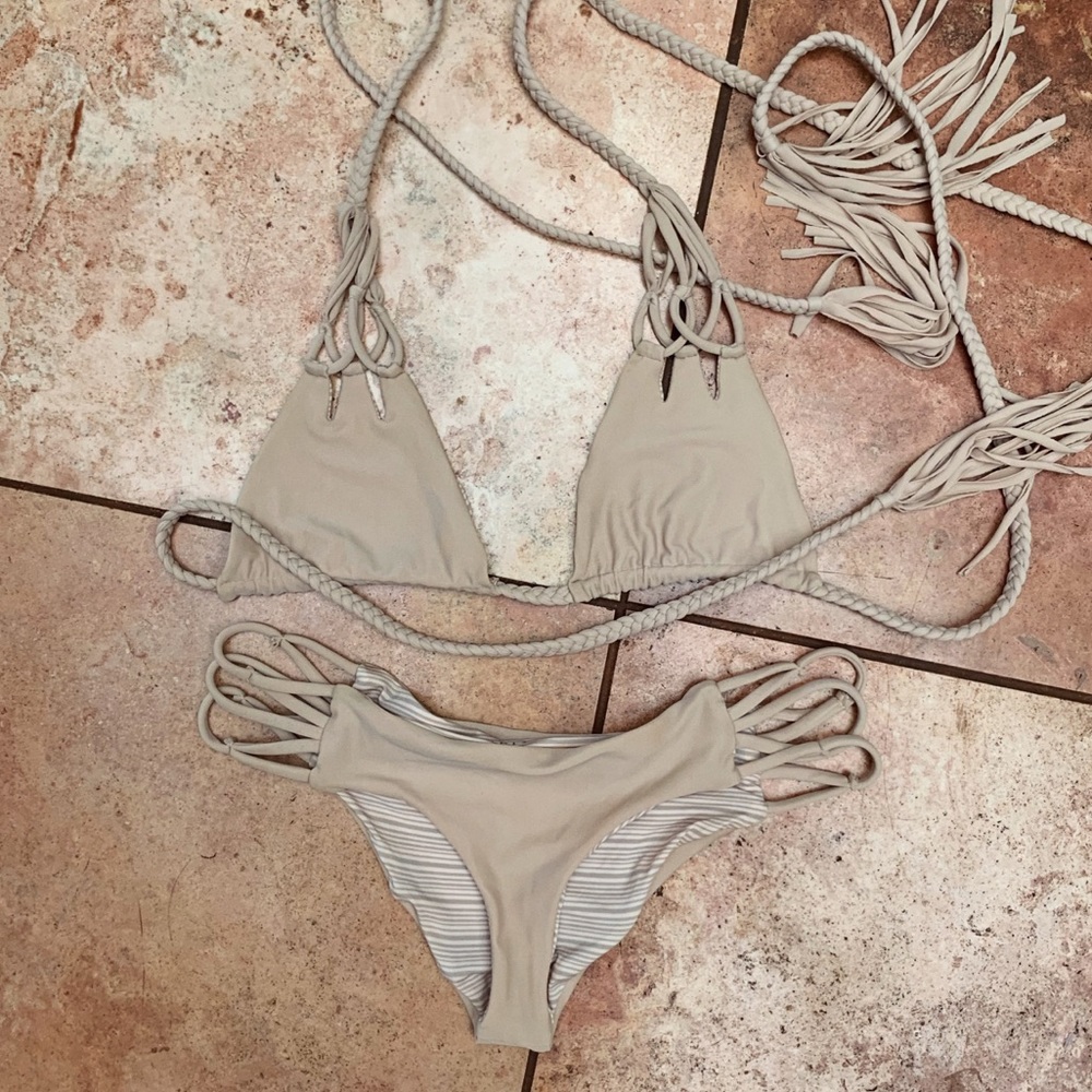 Acacia bikini